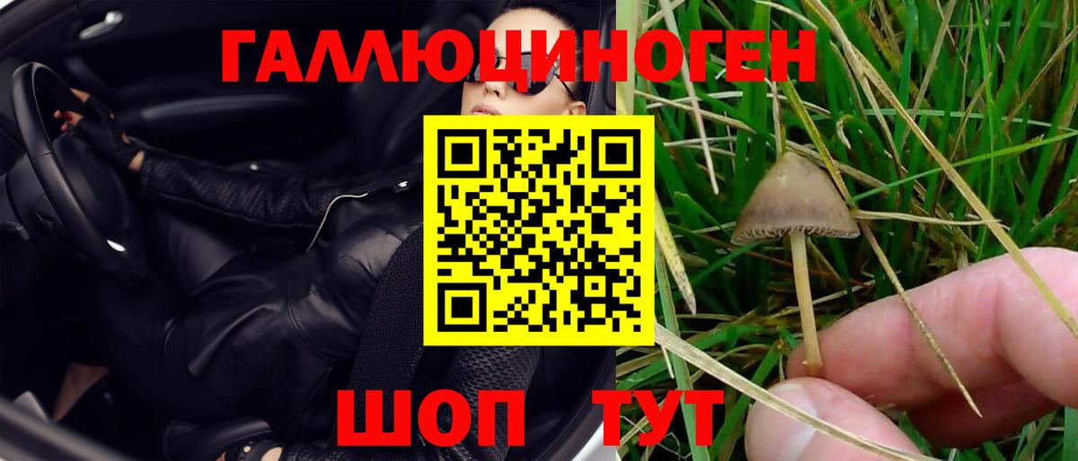 Псилоцибиновые грибы Cubensis  Вход с VPN  Павлово  Галлюциногенные грибы Psilocybe 